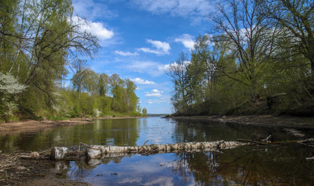 a stream flows into a big river 3