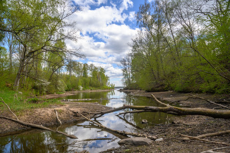 a stream flows into a big river 1