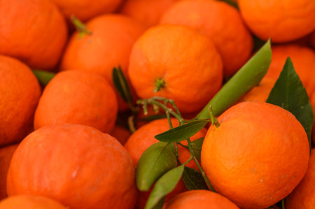 juicy fresh tangerines in boxes for sale in Cyprus in winter 26の写真素材
