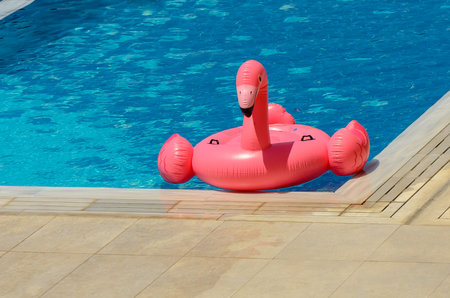 A swimming circle in the form of a pink flamingo lies in the pool.
