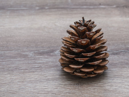 Selective focus shot of a pine cone on a wooden table