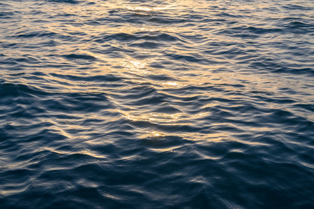 Sea water surface, summer time. Golden sunrise
