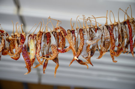 Photograph of homemade crimson dried hot peppers hung on a string in rows.