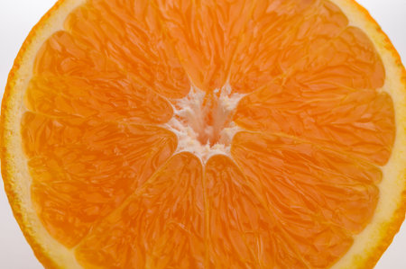A fresh orangeの写真素材