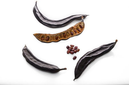 carob like vanilla condiment for cakeの写真素材