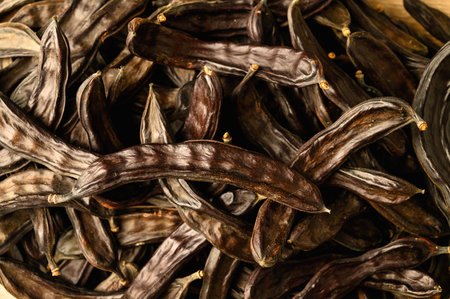 Carob pods and carob beans on the wooden table.の写真素材