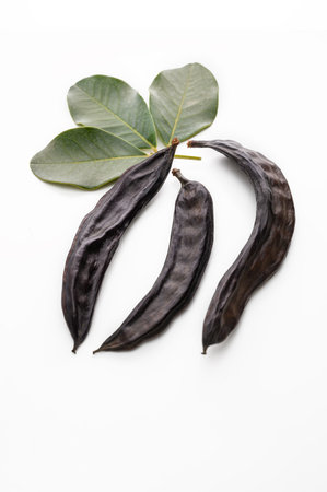 Close-up of dried food over white backgroundの写真素材