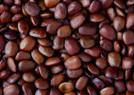 carob seeds old measure faith diamondsの写真素材