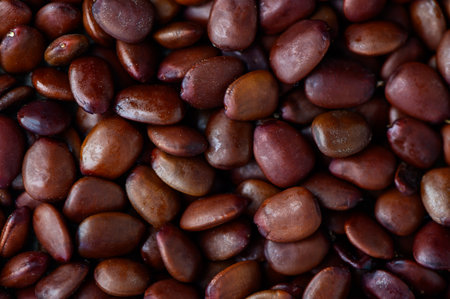heap of carob seeds as backgroundの写真素材
