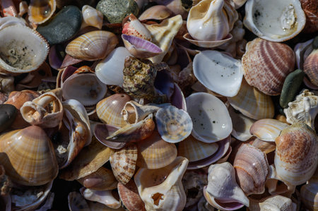Colored sea glass with beach pebbles, beach glass