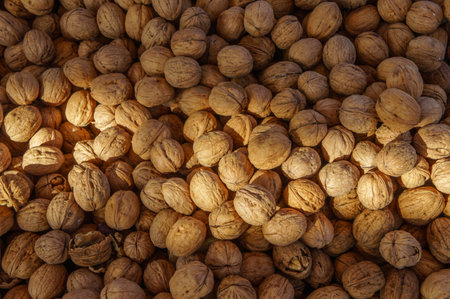 Many walnut brown nuts in shell on the market background pattern