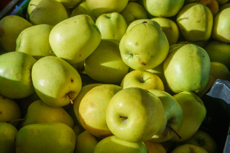 A bountiful display of fresh green apples fills the basket, glistening in the warm glow of afternoon sun at a bustling farmer\'s market.の写真素材