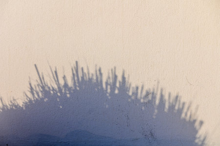 A captivating display of shadows emerges from spiky objects, creating an intricate silhouette...