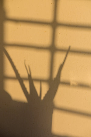 Sunlight streams through window slats, casting intricate patterns on a warm wall, while the...