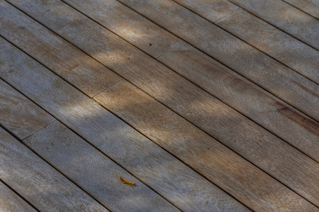 The worn wooden surface captures gentle sunlight filtering through lush greenery, creating a...