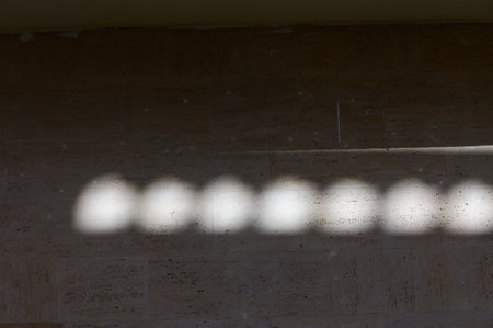 Soft light filters through leaves, casting playful shadows that dance across a warm, stone wall.の写真素材