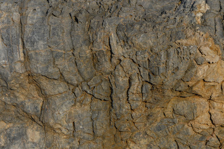 A rugged rock surface reveals intricate patterns and textures under bright midday sunlight in...