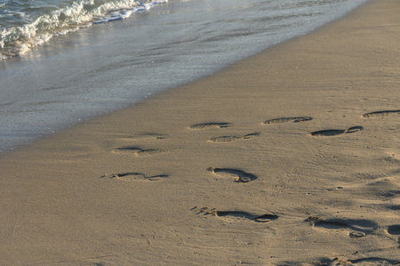 Footprints trace a path along the beach, gently kissed by waves, evoking a sense of peace and reflection.の写真素材