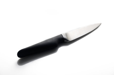 A sleek kitchen knife lies on an immaculate surface, reflecting soft morning light, ready for...