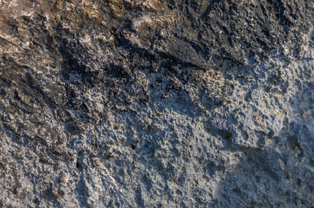Natural patterns in the rugged surface of a rock exhibit a stunning display of texture and color variations.の写真素材