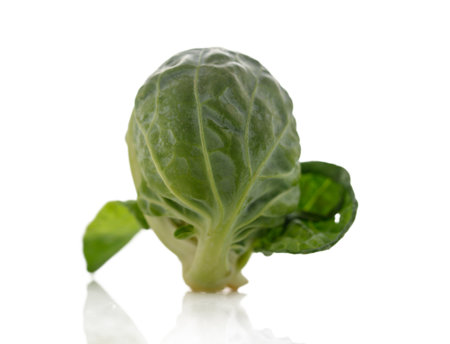 A single Brussels sprout with crisp leaves and rich green hue rests on a reflective surface under soft light.の写真素材