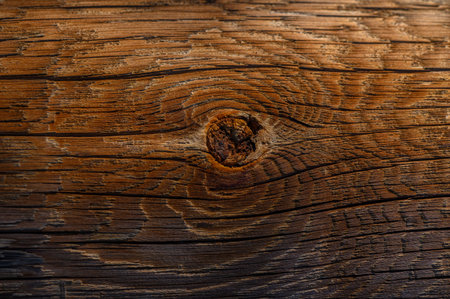 Textured surface of weathered wood displays intricate knot patterns, illuminated by soft, warm evening light.の写真素材