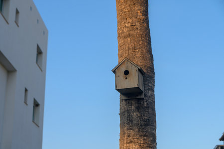 A charming wooden birdhouse is mounted on a tall palm tree, silhouetted against the vibrant blue sky...