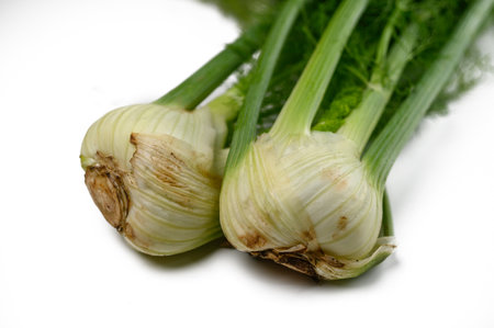 Two fresh bulbs showcase their creamy white skin and vivid green stems, perfect for enhancing flavor in dishes.の写真素材