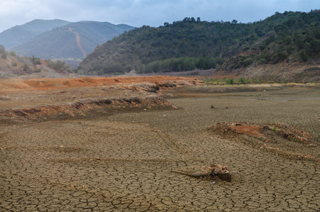 Parched terrain shows intricate patterns as mountains stand guard, hinting at a drought's powerful grip.の写真素材