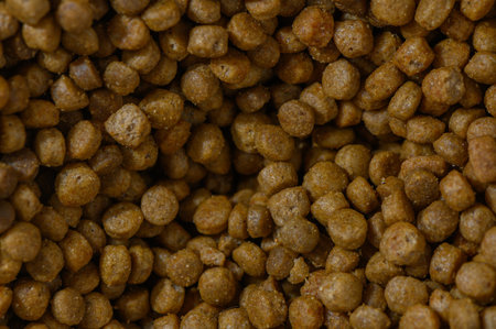 Discover the detailed and uniform shapes of dry pet food nuggets, perfect for nourishing furry...
