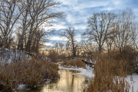Frosty river flows gently through golden reeds beneath a colorful winter sky at dusk, creating a...