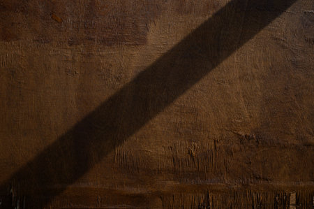 Soft light casts an elongated shadow, creating an artistic interplay on a rustic, textured surface...