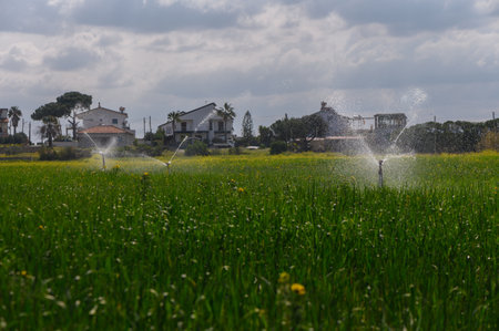 Sprinklers water lush fields amidst charming homes and cloudy skies, creating a serene atmosphere.の写真素材