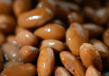 Close up of roasted almonds glistening under natural light, emphasizing their rich colors and unique...