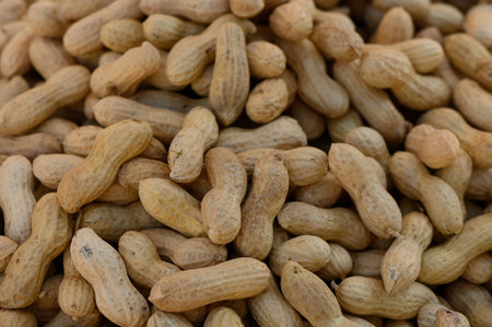 Naturally textured brown peanuts lay scattered, showing their earthy tones and unique shapes in a...