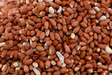 Freshly harvested raw peanuts fill a vibrant market stall, inviting culinary creativity and delicious recipes.の写真素材