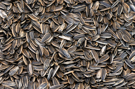 A vibrant display of roasted sunflower seeds fills the surface, embodying warmth and comfort in a...