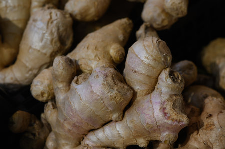 Weathered ginger roots display their unique textures and shapes, inviting culinary enthusiasts to...