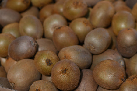 Juicy kiwis rest in abundance, showcasing their natural colors under the warm sunlight of a bustling marketplace.の写真素材