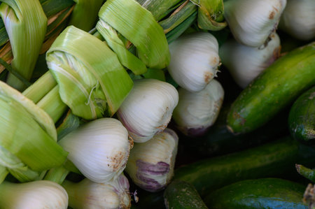 Vibrant green cucumbers and braided garlic create a lively display of fresh produce at an outdoor market.の写真素材