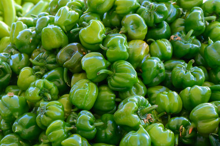 A bountiful display of glossy green bell peppers fills a market stall under the warm afternoon sun, inviting shoppers to enjoy their crisp freshness for meals.の写真素材