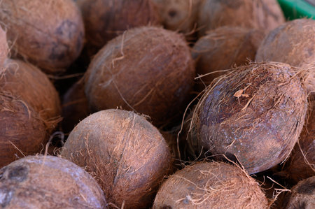 Stacks of coconuts with rough shells and tangled roots rest in a lively farmers market, surrounded...