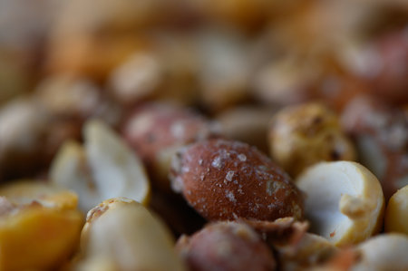 A colorful assortment of roasted nuts fills the frame, showcasing textures and hues that invite...