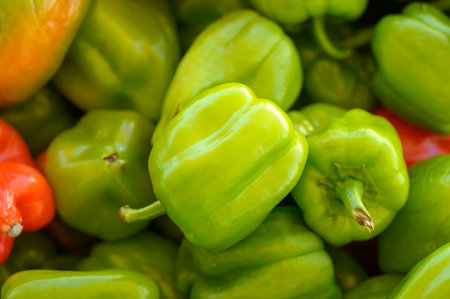 A variety of bell peppers, ranging from bright green to deep red, are artistically arranged at a...