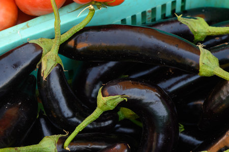 Colorful crates overflow with glossy black eggplants and fresh red tomatoes, showing the abundance of a farmer's market. Shoppers explore the seasonal delights under warm sunlight.の写真素材