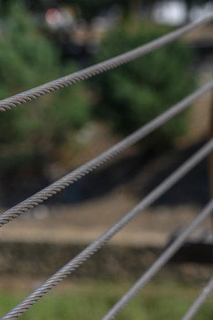 Thick, weathered cables are strung tightly across a distance, blurring slightly in the warm afternoon light. They hint at human presence while nature thrives around.の写真素材