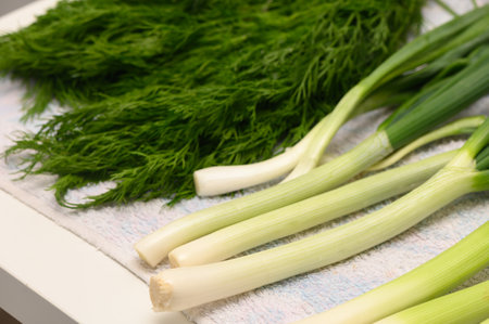 Bright green herbs and scallions lay neatly on a kitchen counter, showcasing their vibrant colors and fresh aroma, ready for cooking or garnishing delicious meals.の写真素材