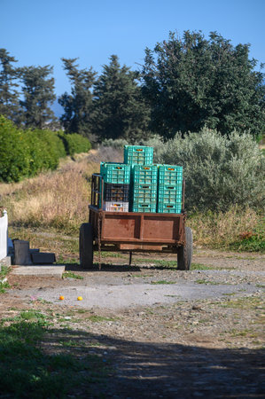 A sturdy cart filled with green crates rolls down a dirt path, surrounded by vibrant fields and...