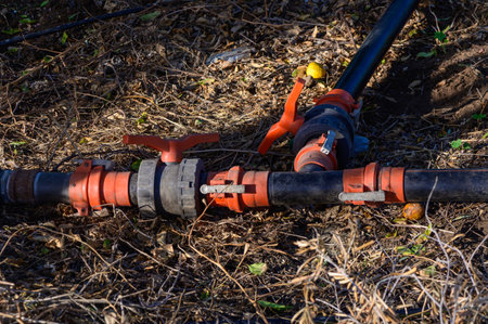 Plastic water pipes connected through a T-joint distributing water across the garden. Irrigation system for efficient water supply in backyard or agricultural setting.の写真素材