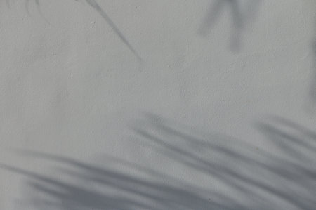 Leaf shadows on house wall as natural background